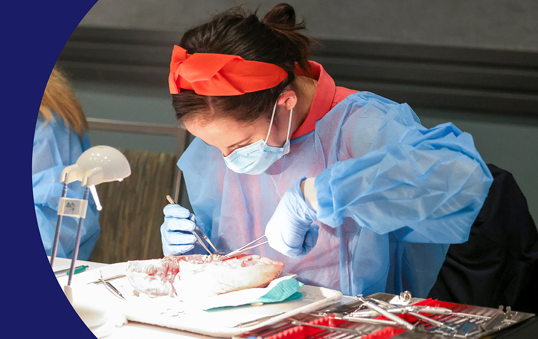 New denist participating in a hands-on activity at SmileCon