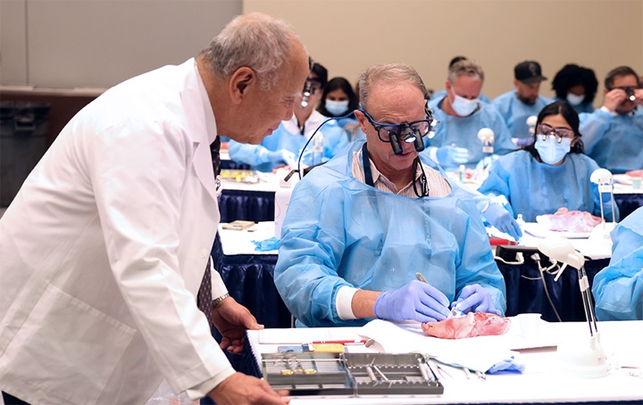 Dentists attending a course