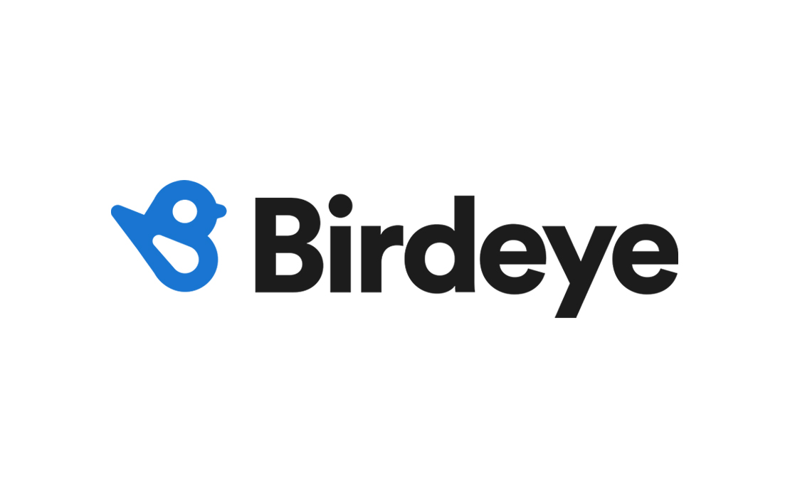 Birdeye logo