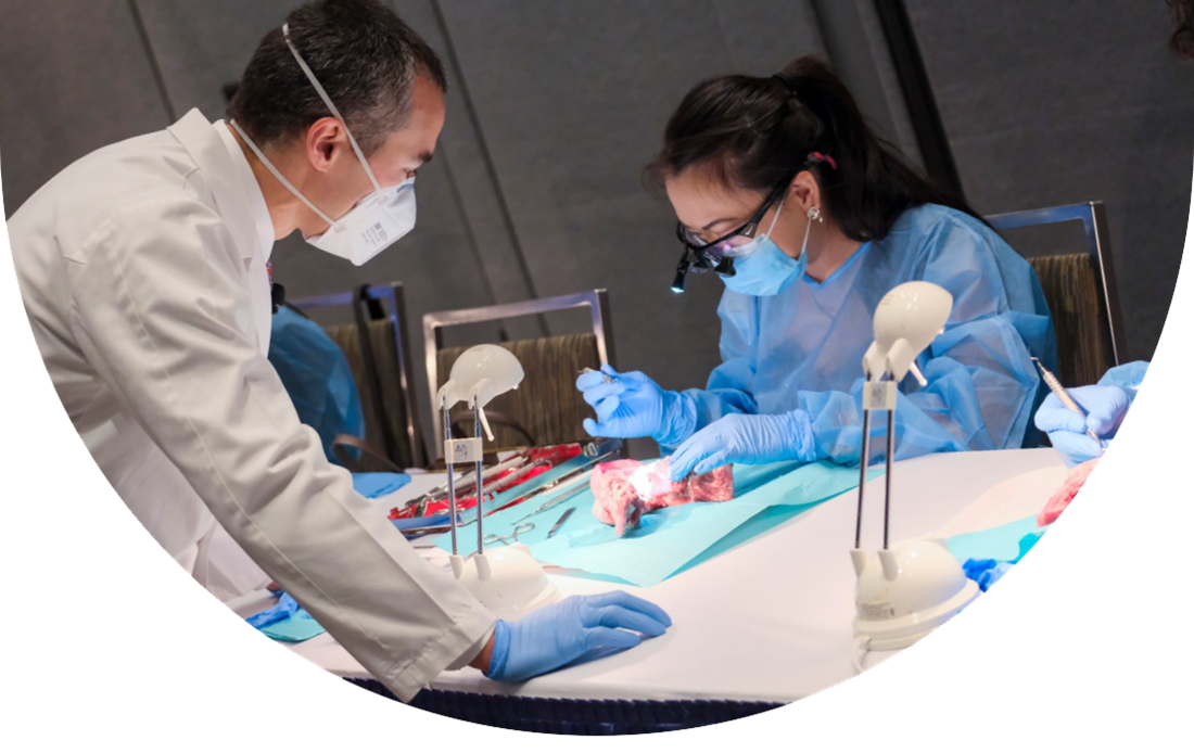 Learn at SmileCon 2024 with CE & Sessions American Dental Association