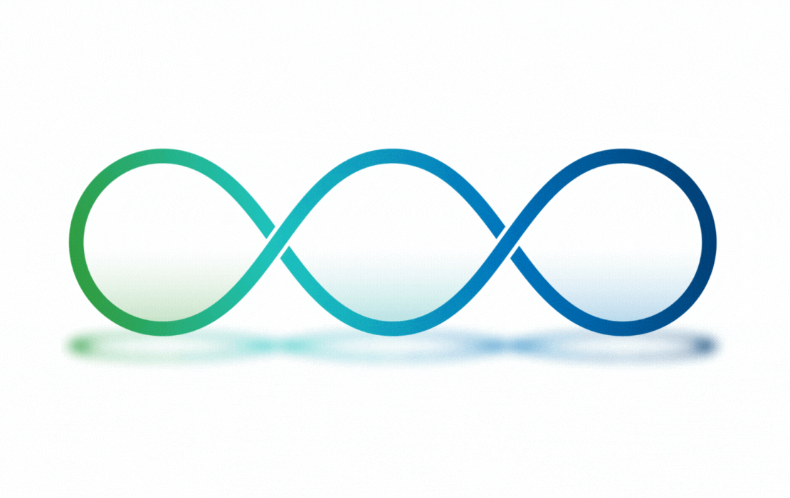 ADA - State - Local animated gif