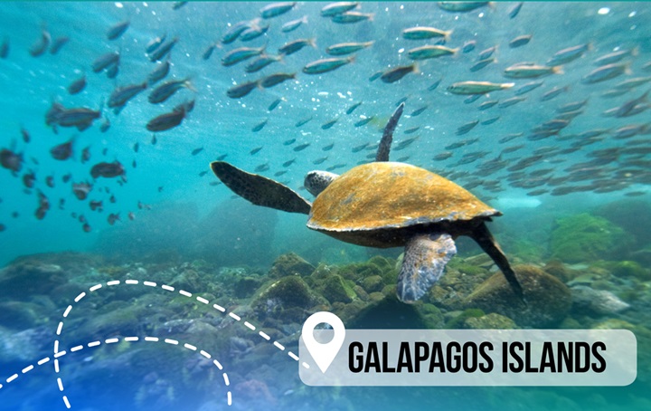 Galapagos islands promotional image