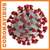 Coronavirus icon