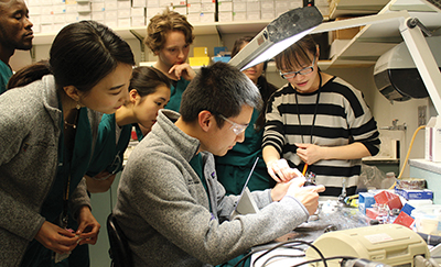 Image of University of Maryland School of Dentistry class