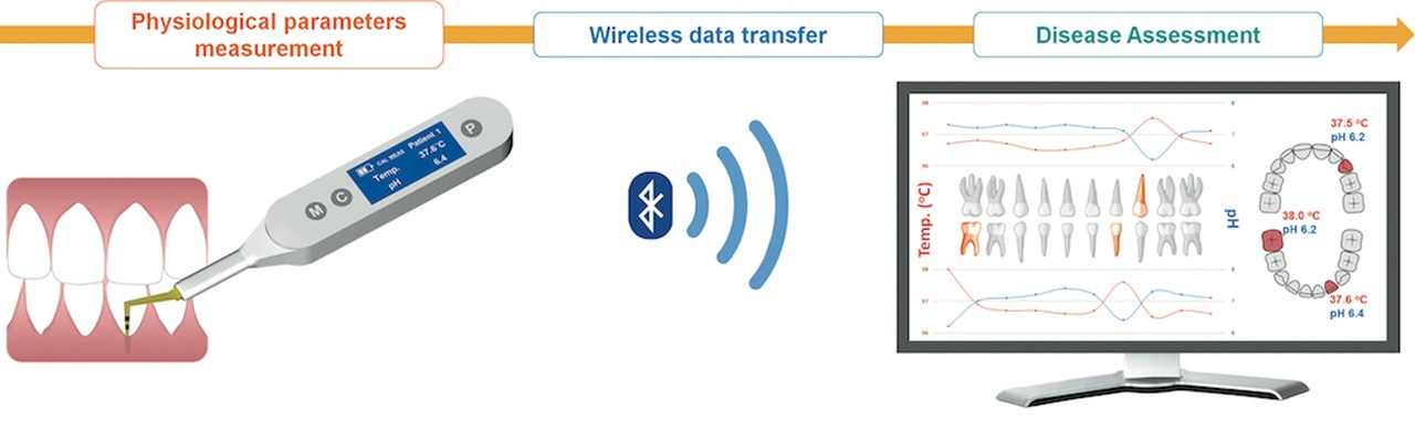 Graphic showing how probe is used