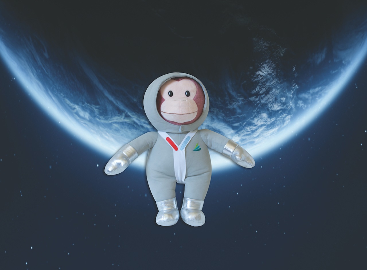 Photo of stuffed astronaut monkey