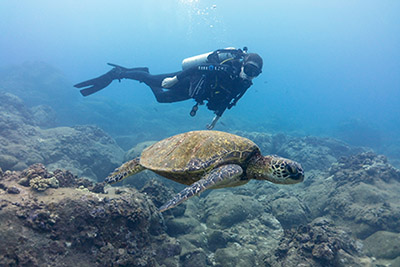 Photo of Dr. Feldman scuba diving