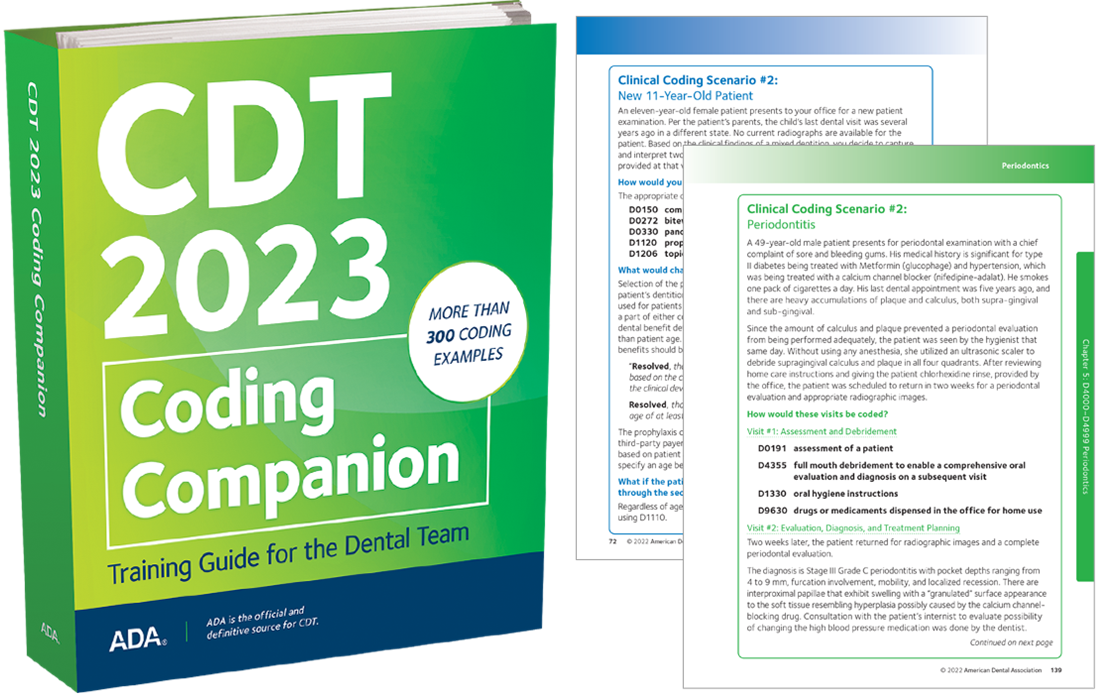 CDT 2023 Coding Companion