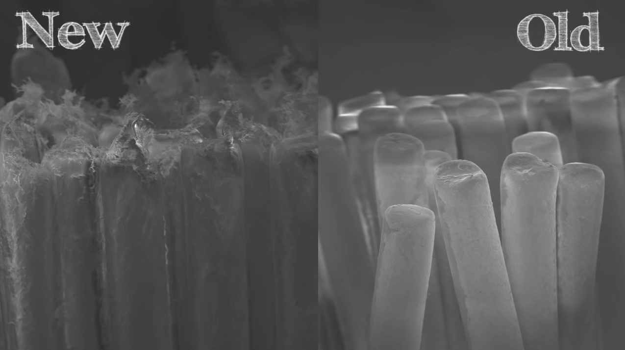 comparing new and old toothbrush bristles