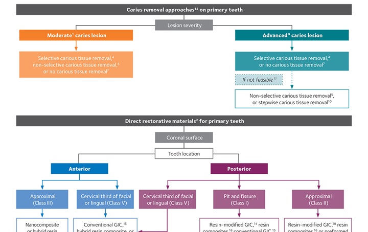 Chairside guide for primary teeth PDF