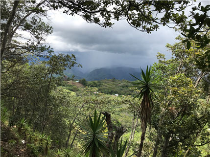 Mountains with cloud cover