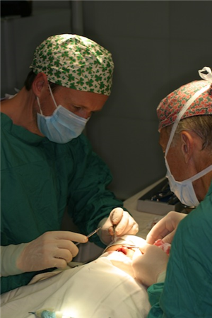 Two dentists performing surgery