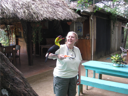 Photo of dental volunteer feeding a toucan in a tropical setting