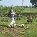 Photo of person walking through a field