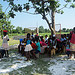 Photo of a group of people under a tree